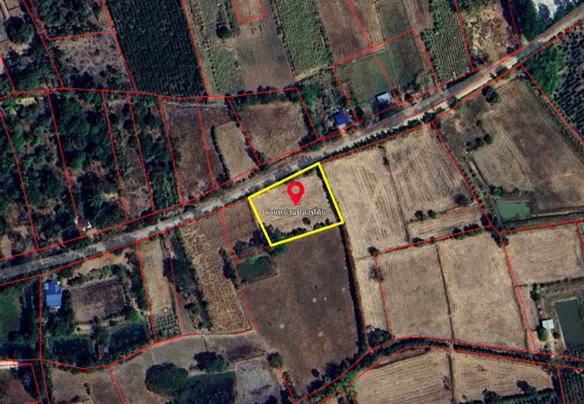 ขายที่ดิน 1-2-47 ไร่ ตำบลในเมือง อำเภอพิมาย นครราชสีมา
