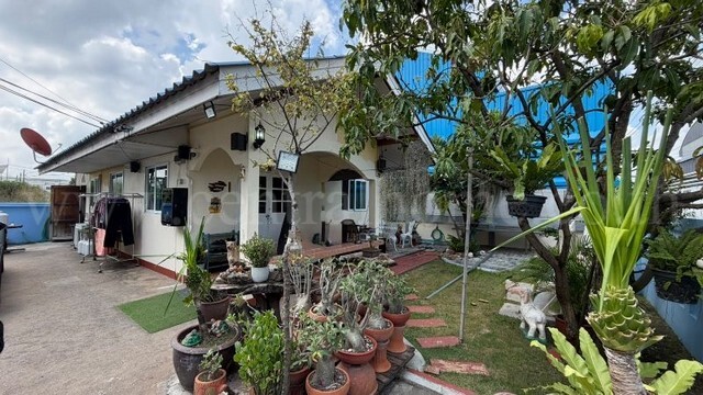 บ้านชั้นเดียว พร้อมที่ดิน 75 ตารางวา ซอยบงกช 12 คลองสอง บ้านสภาพดี