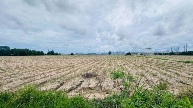 ขายที่ดินมาบยางพร ปลวกแดง ติดโรงงานอมตะชิตี้ระยอง FP-L02532 