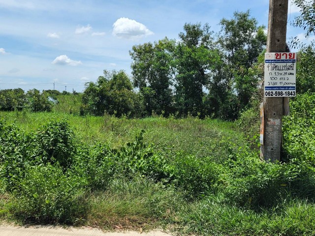ทดคลองสามพี่เอ๋ ขาย ที่ดิน - 100 ตร.วา ปทุมธานี    ใกล้กับ วัดธรรมกาย ตลาดไท