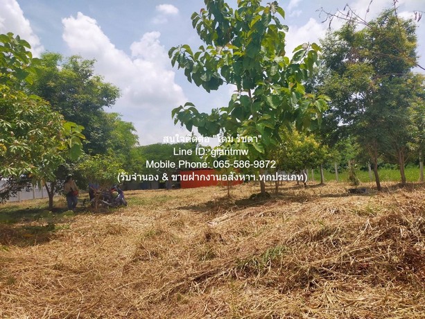 DSL-709 ขาย ที่ดิน ขายที่ดินเปล่า 1-0-14.5 ไร่ (414.5 ตร.ว.) ซ.สุวินทวงศ์ ใกล้สนามกอล์ฟฟินิกซ์ โกลด์ กอล์ฟ แบงค็อก กรุงเทพ หนองจอก   