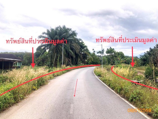 ขายบ้านเดี่ยวสุราษฎร์ธานี อำเภอเวียงสระ   ถนนเลียบคลองชลประทาน