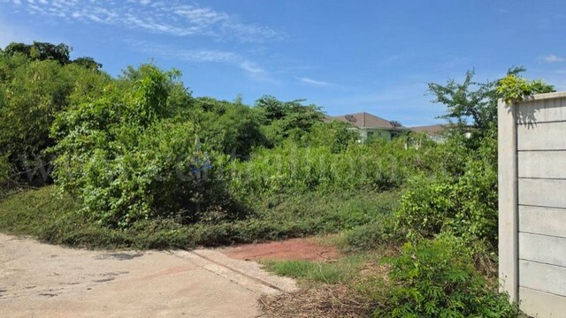 ให้เช่า ที่ดินเปล่า ถมแล้ว 243.2 ตร.ว. ซอยบางกระดี่ 1 แยก 9-2 ติดทางด่วนพระราม2 แสมดำ