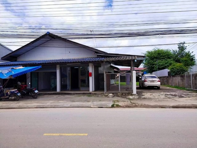 ขายด่วน บ้านเดี่ยวพร้อมผู้เช่า อ.พาน จ.เชียงราย เนื้อที่ 368 ตรว.