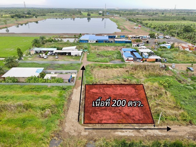 1 ขาย ที่ดิน ที่ดินใกล้กรุงฯ คลอง9หนองเสือ ใกล้ชุมชน 200ตรว. เพียง 7.5แสนเท่านั้น  ปทุมธานี To86-3ol-6l6l ปทุมธานี    หนองเสือ    200 ตร.วา ใกล้กับ อำเภอหนองเสือ