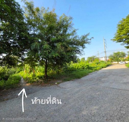 ขายที่ดินปทุมธานี แปลงมุม อำเภอเมือง ถนนปทุมธานีสายใน