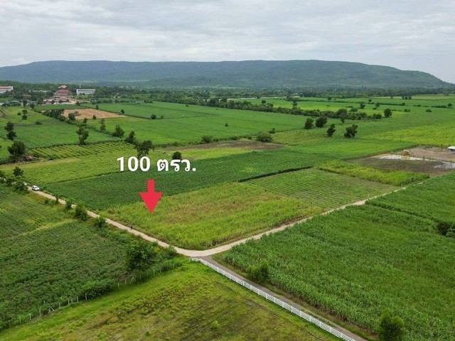 1 ขาย ที่ดิน ถูกสุด ที่วิวเขา ติดถนนคอนกรีต1แสนบาท 100ตรว. วังเพลิน โคกสำโรง ลพบุรี T .086-301-6161 100 ตารางวา ลพบุรี    100000 บาท
