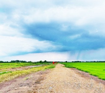 ขาย ที่ดิน ที่ทำเกษตร4.5แสนต่อไร่ บ้านนา นครนายก 2 ไร่ 800 ตร.วา 900000 บาท ชั้นทั้งหมด 1 ชั้น