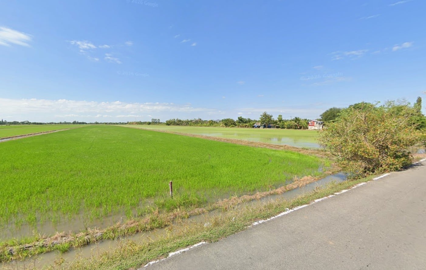 ขายที่ดินหนองจอก 81-1-8.4 ไร่ (แบ่งขายได้ โฉนดละ 40 ไร่) ใกล้วัดใหม่เจริญราษฎร์