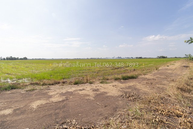 ขายที่ดินเปล่า (ปัจจุบันเป็นที่นา) เนื้อที่ 20 ไร่ ทรงสวยสี่เหลี่ยม ต.วังพัฒนา อ.บางซ้าย จ.พระนครศรีอยุธยา