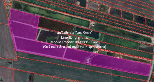 DSL-1016 ขาย ที่ดิน ขายที่ดินทุ่งนา 103-0-44 ไร่ ศรีจุฬา อ.เมืองนครนายก นครนายก ราคา 31 ล้านบาท  ใกล้กับ วัดศรีจุฬา