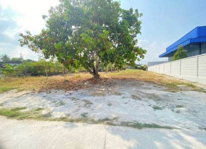 ขายที่ดินเปล่าทำเลดี 1 งาน บางพระ ศรีราชา ชลบุรี (บ้านห้วยกรุ) TP-L2544