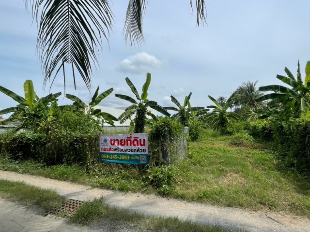 ขายที่ดิน แปลงสวยถมแล้ว ต.บ้านลาด อ.บ้านลาด จ.เพชรบุรี 1 งาน 89 ตรว.