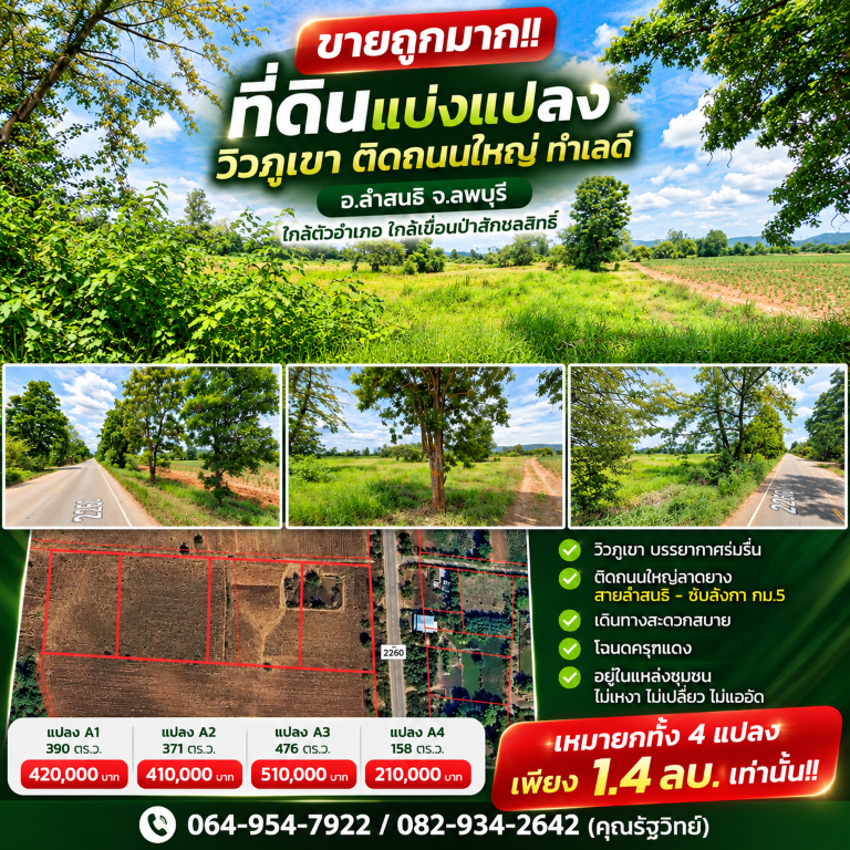 ขายถูกมาก!! ที่ดินแบ่งแปลงวิวภูเขา ติดถนนใหญ่ ทำเลดี อ.ลำสนธิ จ.ลพบุรี ใกล้ตัวอำเภอ ใกล้เขื่อนป่าสักชลสิทธิ์